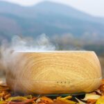 Дифузер за Етерични Масла: Сравняваме Най-Добрите за 2025 Година Дифузер за Етерични Масла: Сравняваме Най-Добрите за 2025 Година