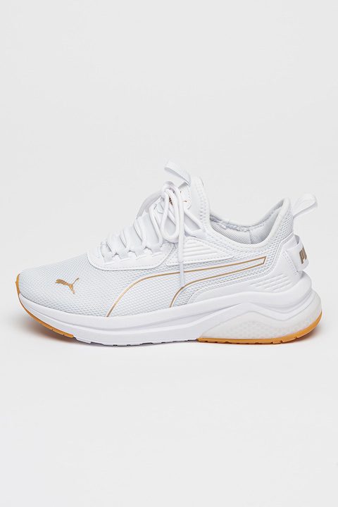 Дамски Маратонки и Кецове - Подбрахме Най-Добрите Puma, Спортни обувки Amplifier с мрежа, Бял/Златист