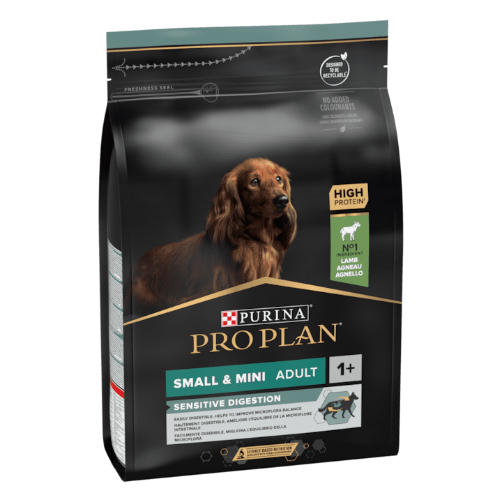 Храна за Кучета със Ставни Проблеми - Какво Трябва да Знаем Храна за Кучета със Ставни Проблеми – Какво Трябва да Знаем