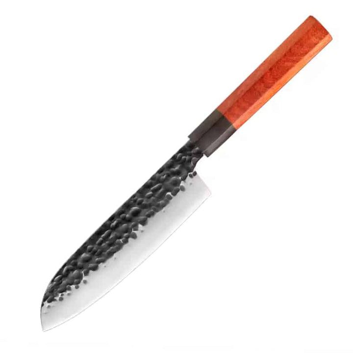 Оригинални Ножове Японска Стомана - Топ 15 Най-Добрите Професионален нож HOCHO Santoku серия JP