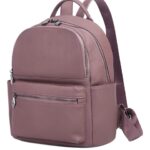 Кои Са Най-Добрите Мини Дамски Раници?