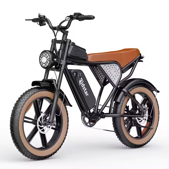 Електрически Велосипеди Тип Fat Bike - Пълно Ръководство За Избор Електрически велосипед Ridstar Q20-Luxe
